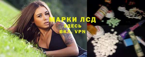 трава Арсеньев