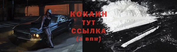трава Арсеньев