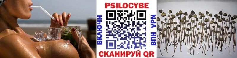 Псилоцибиновые грибы мицелий где купить Нижний Ломов